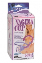  Pompa pentru excitarea vaginului